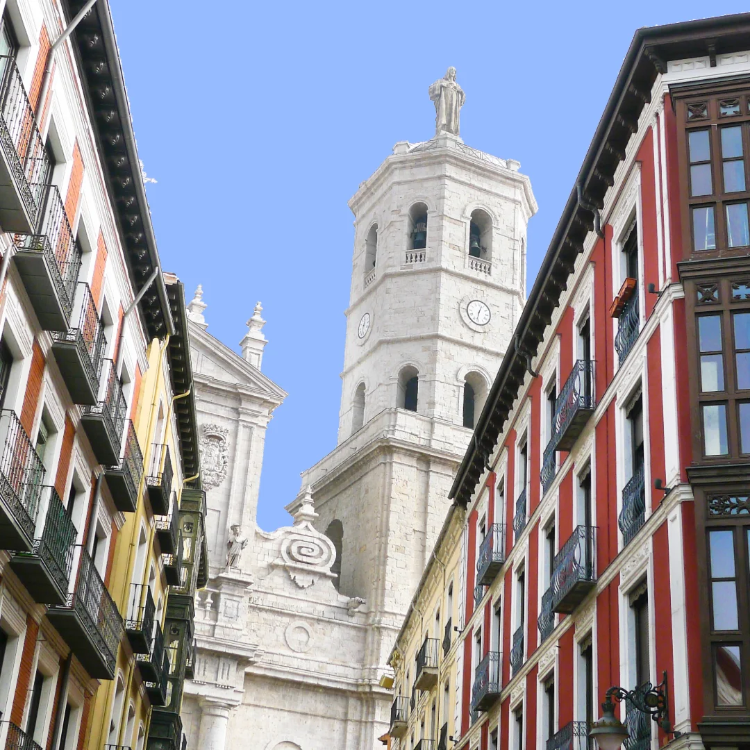 SEO para Alquileres Estudiantes en Valladolid
