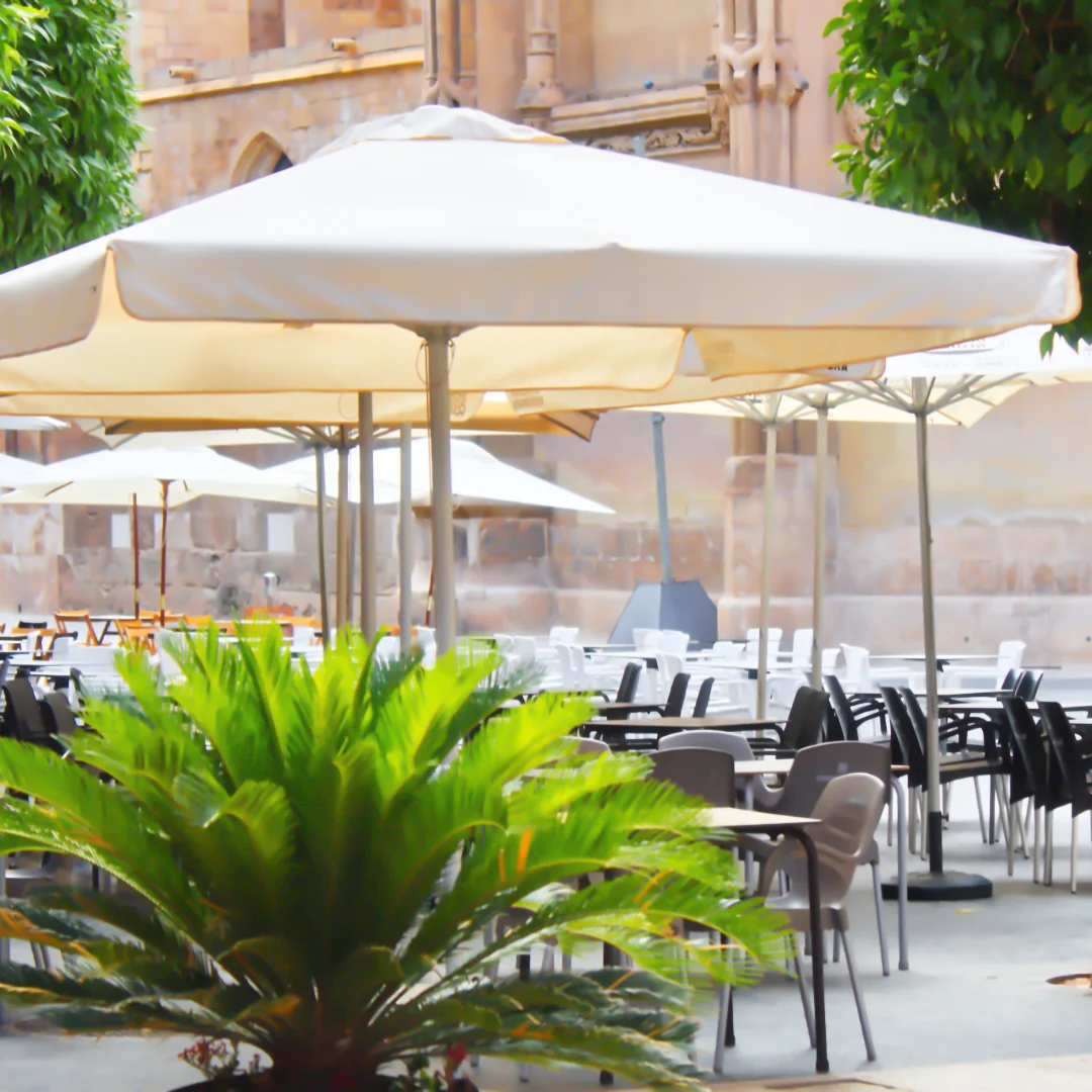 SEO Local para Restaurantes en Murcia: Llena Tu Local con Google 2025