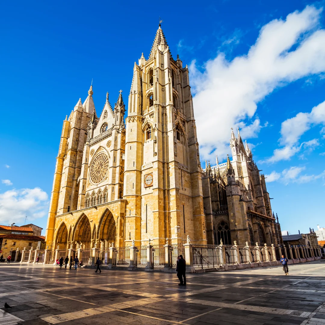 SEO en León - Posicionamiento Web Local