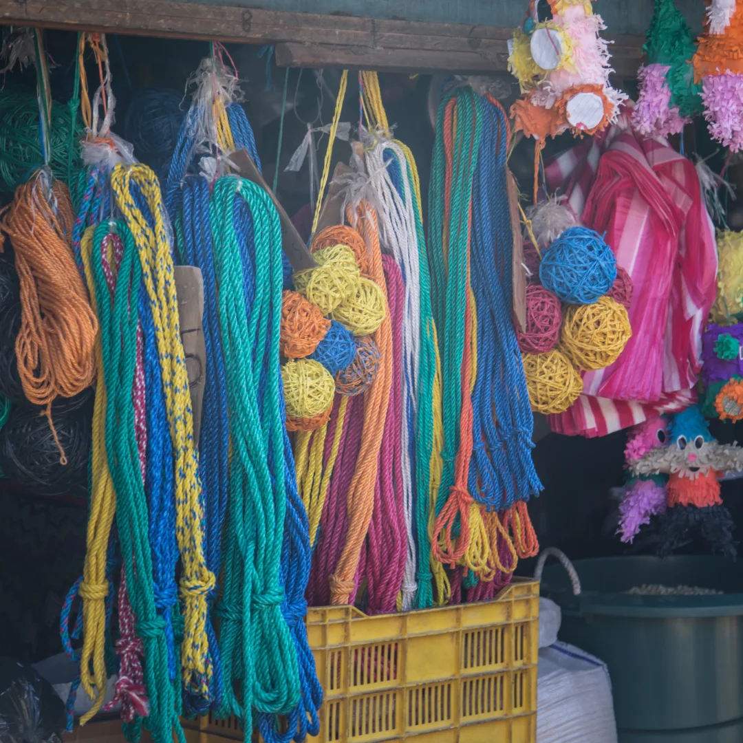 SEO para Veterinarios: Cómo Conseguir Más Pacientes Clínica Veterinaria