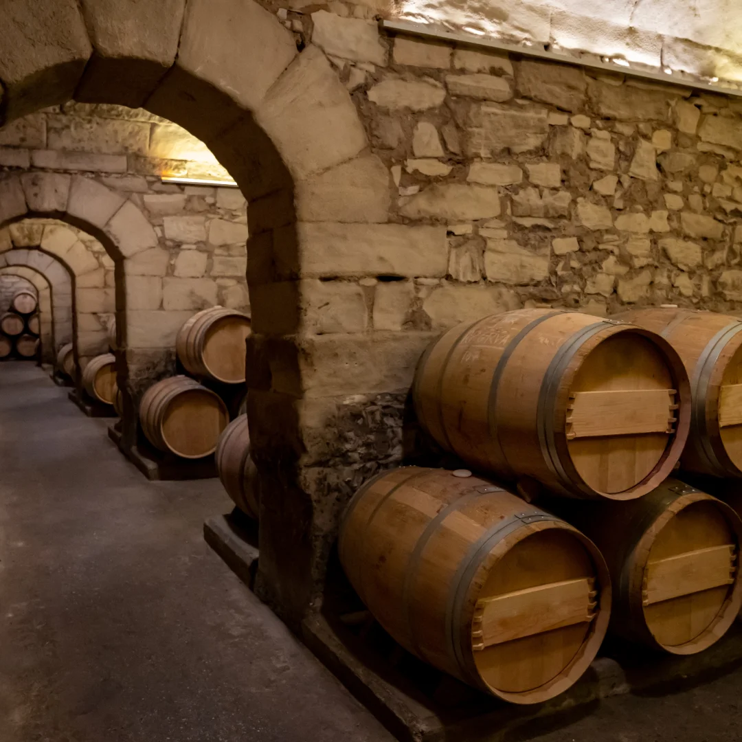 SEO para Vino D.O. Rioja desde Logroño