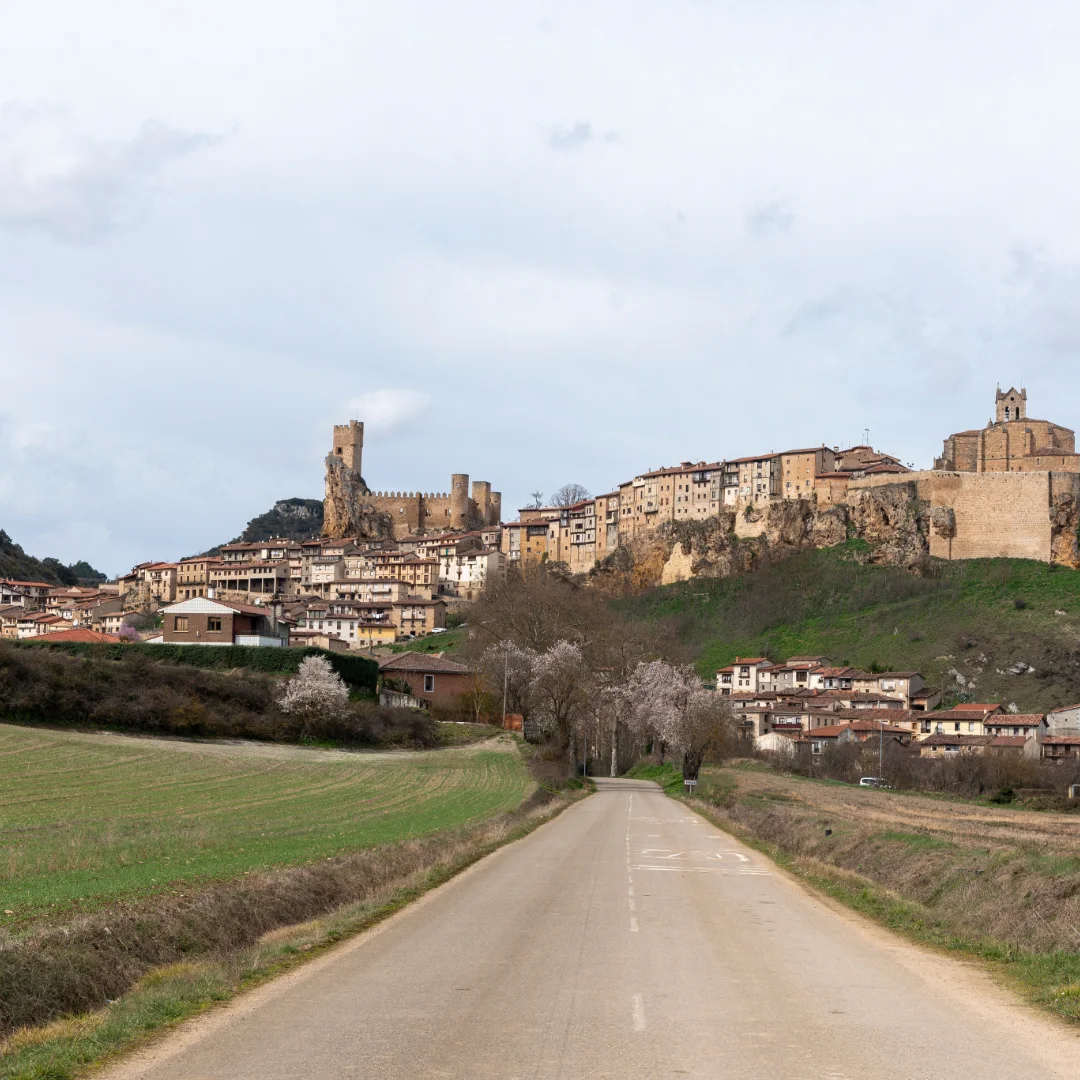 SEO para Turismo de Castillos y Patrimonio en Jaén 2025