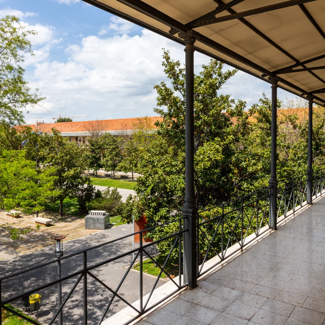 SEO para Servicios a Estudiantes Universidad Carlos III (Leganés): Cómo Captar el Mercado Universitario