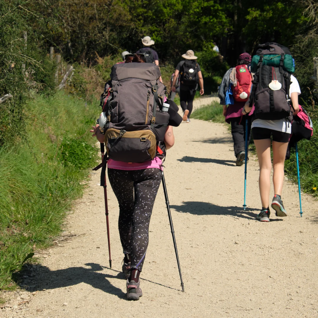 Palabras Clave del Camino de Santiago y Peregrinos 2025