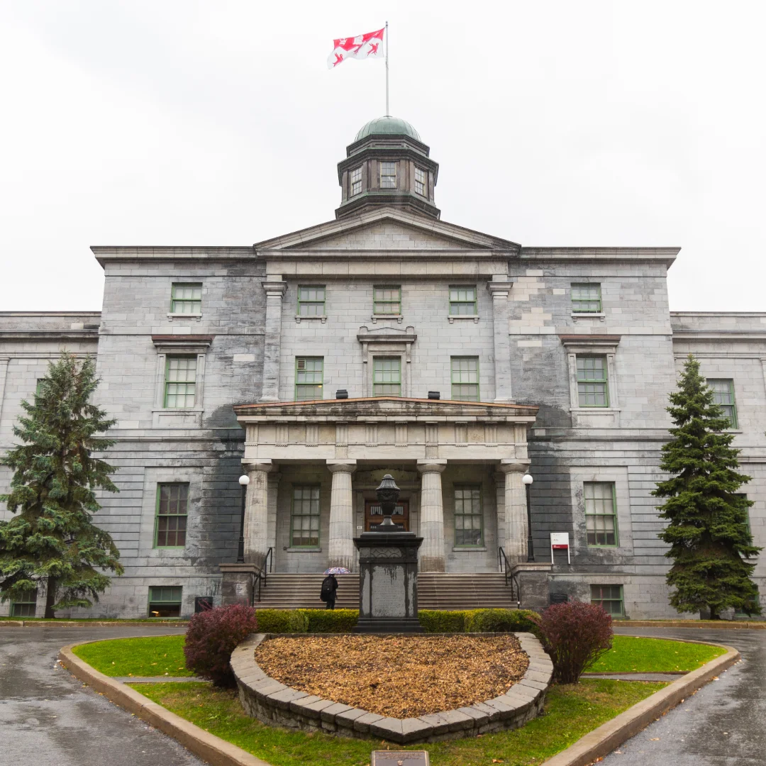 Posicionar Servicios para Estudiantes Universidad de Alcalá (UAH)