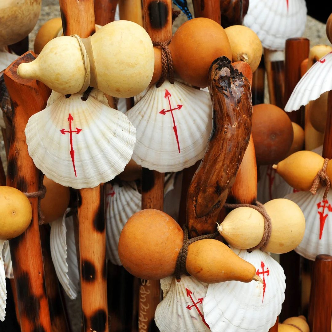 SEO Bilingüe Gallego-Español para Negocios en Ourense