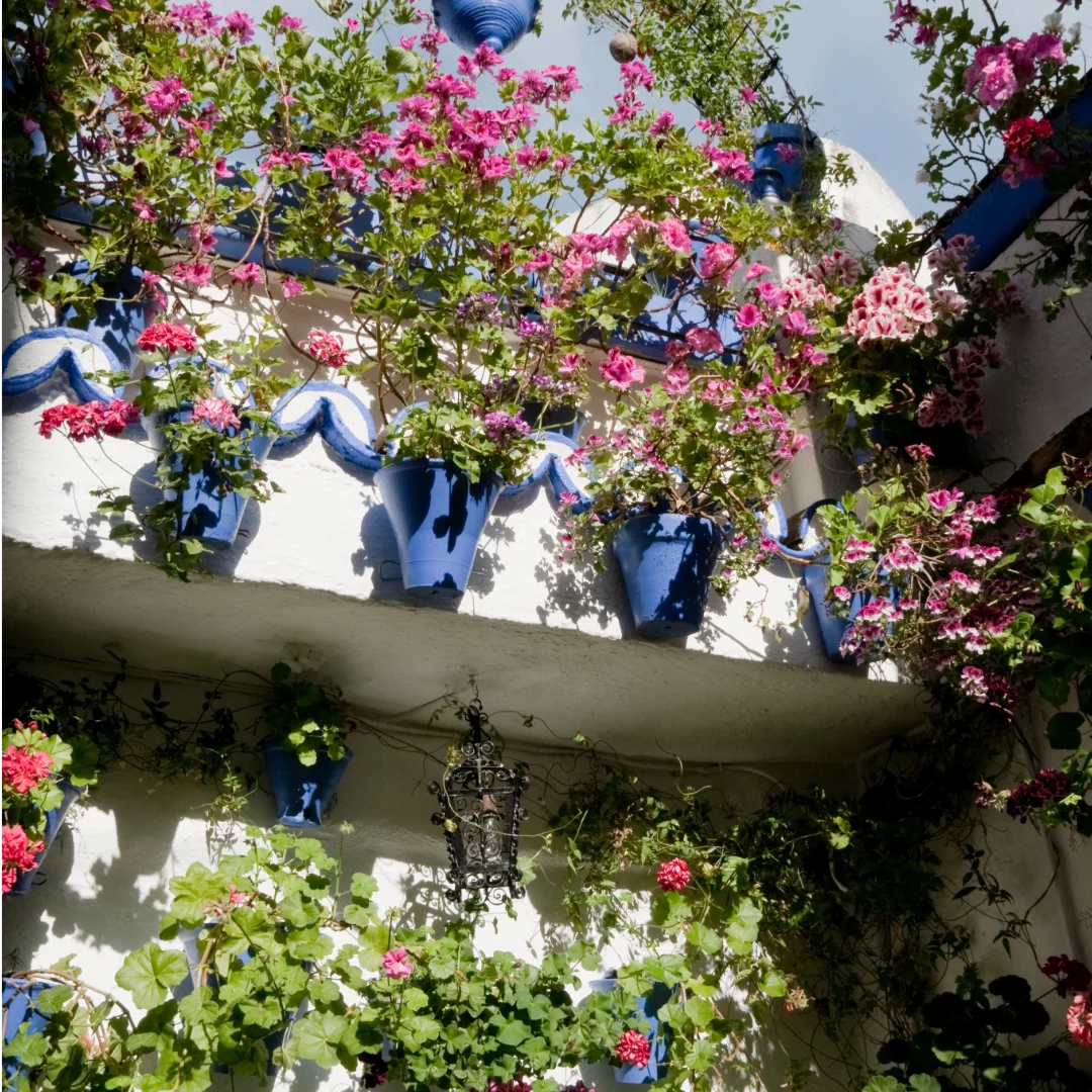 SEO para el Festival de los Patios de Córdoba: Estrategia Estacional Patrimonio UNESCO