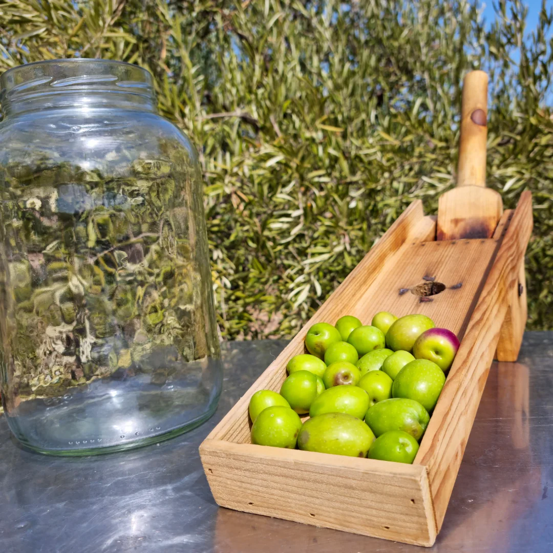 SEO para Productores de Aceite de Oliva en Córdoba: AOVE y Oleoturismo