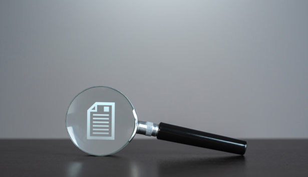 Lupa con icono de archivo en el medio en Agencia de SEO en Huelva